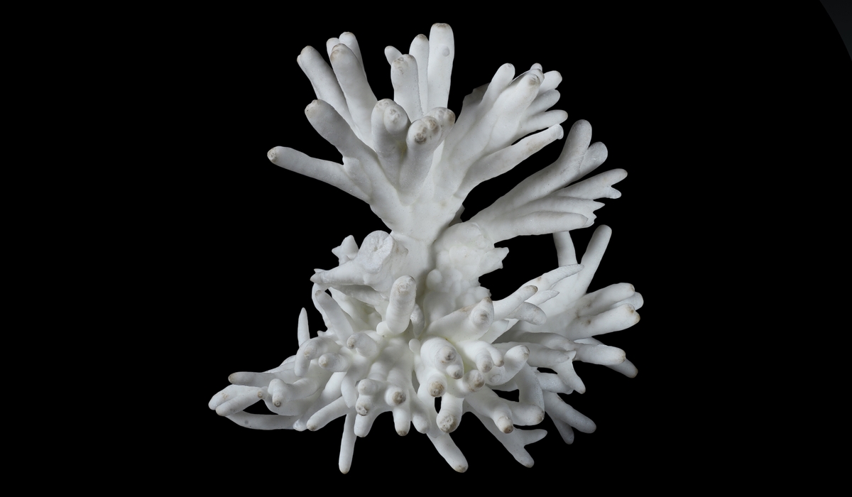 アラゴナイト　原石　フロスフェリ