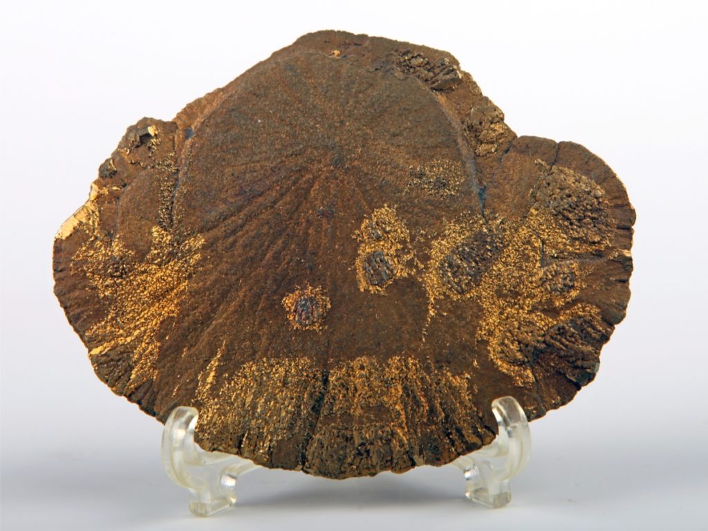 パイライトサン