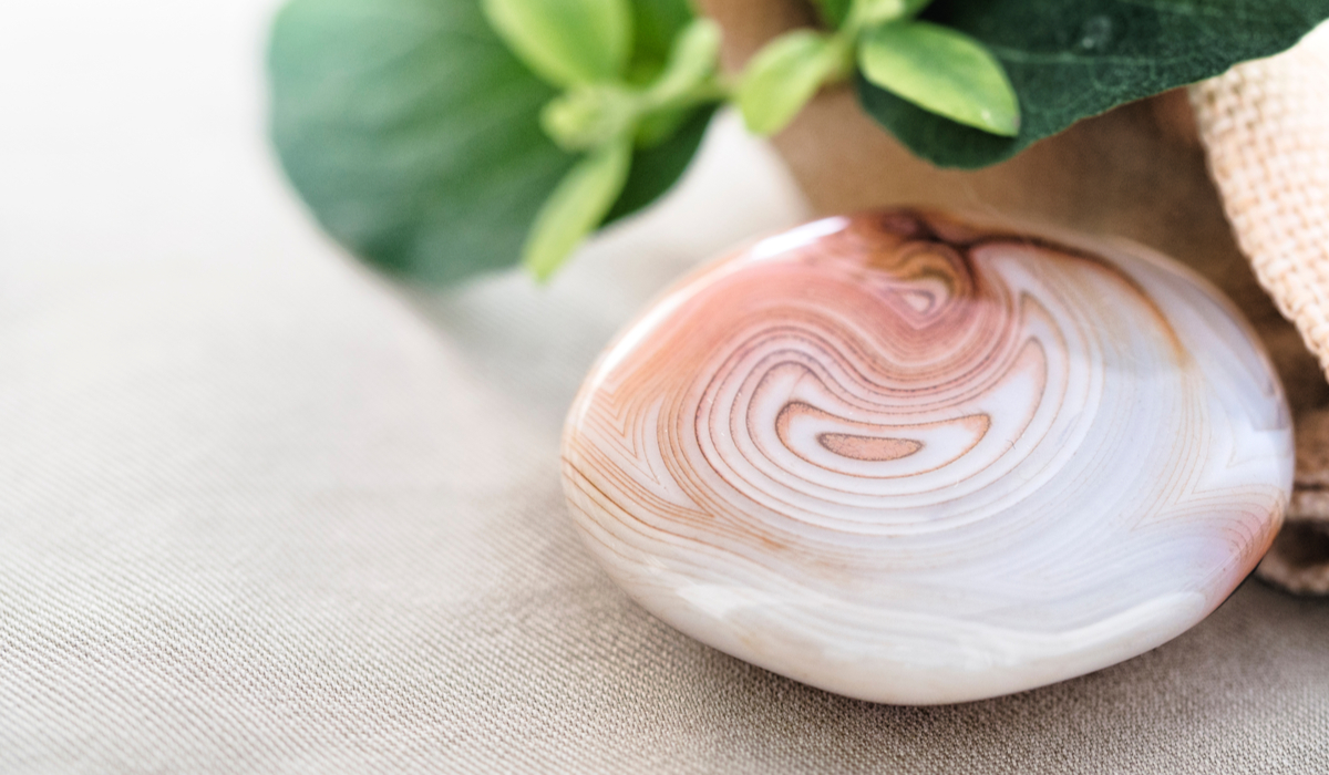 サードニクス　ルース