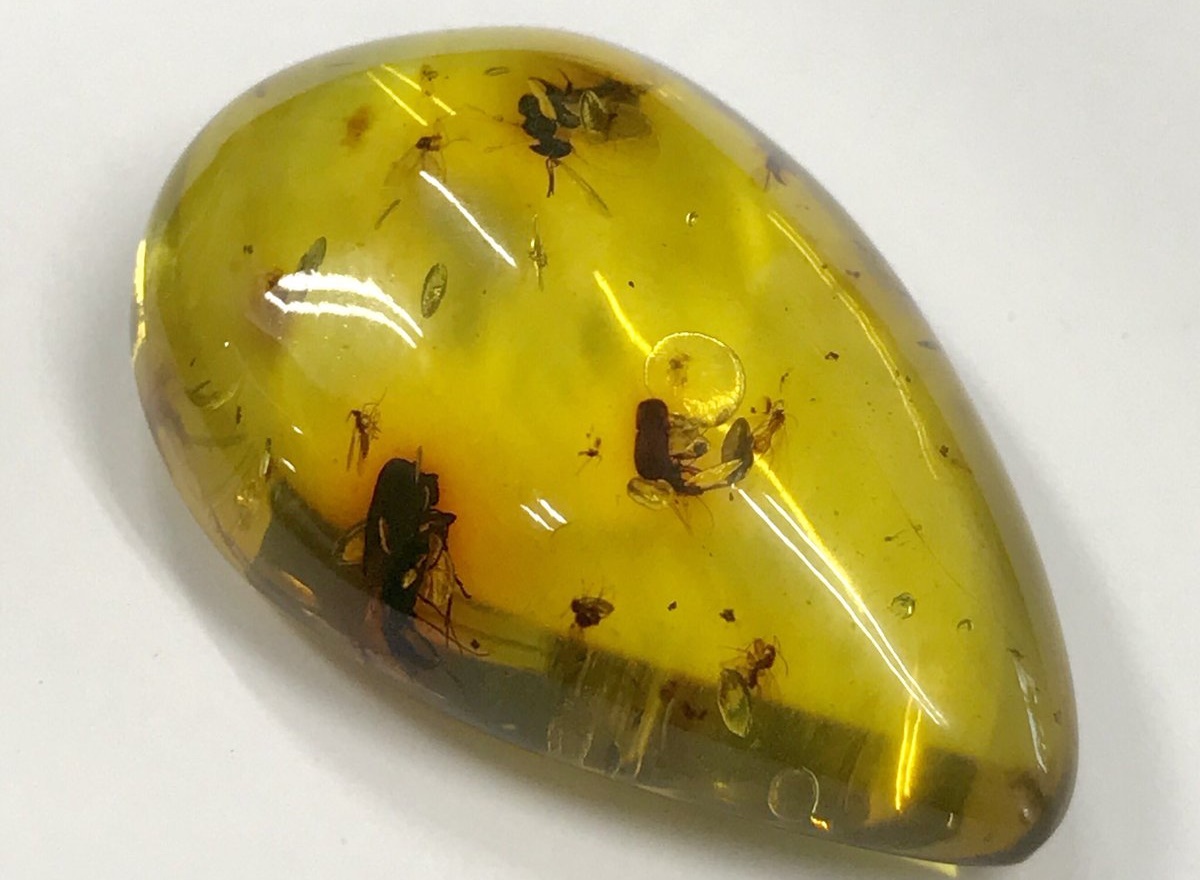 琥珀　虫入り　ルース