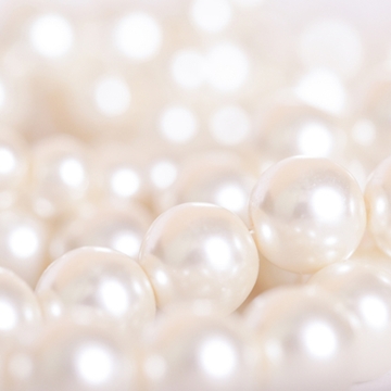 真珠 パール