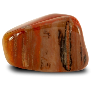 ペトリファイドウッド ルース