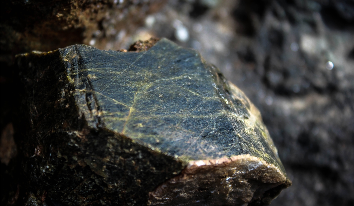 エピドート　ルース