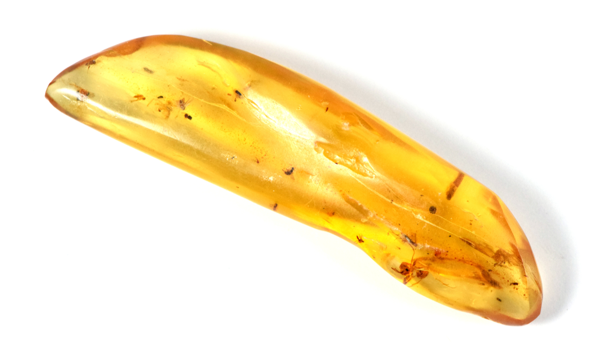 コーパル　ルース