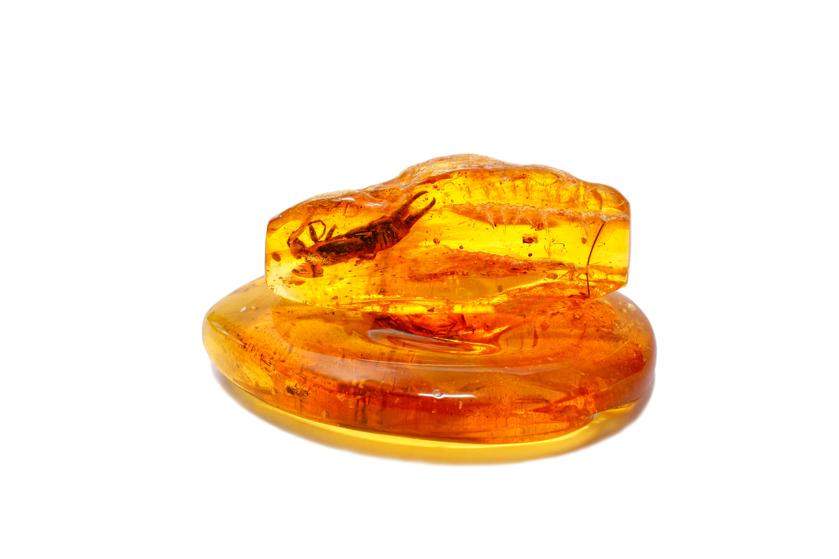 アンバー　琥珀