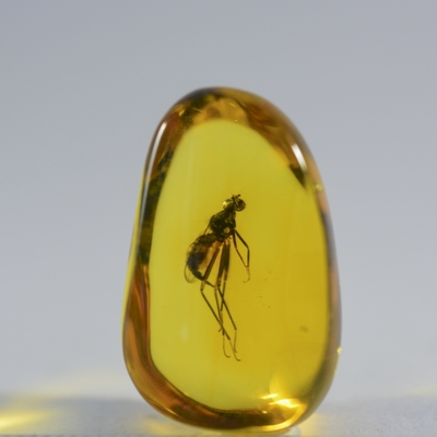 虫入り琥珀　ルース