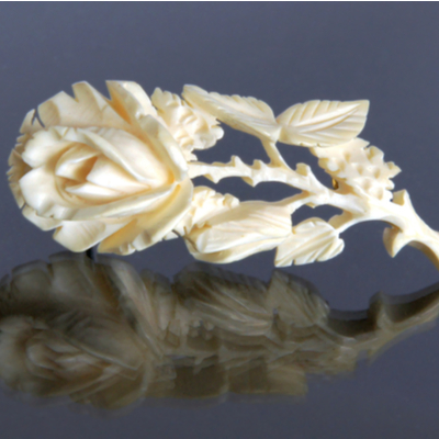 アイボリー　象牙