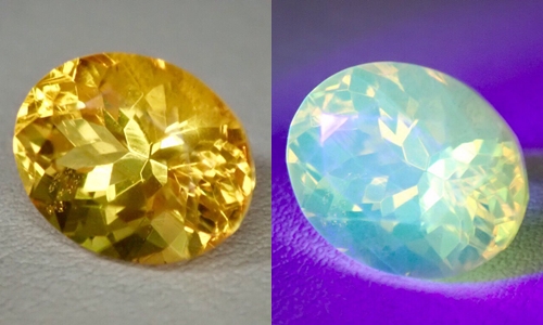 琥珀　アンバー　蛍光　ルース