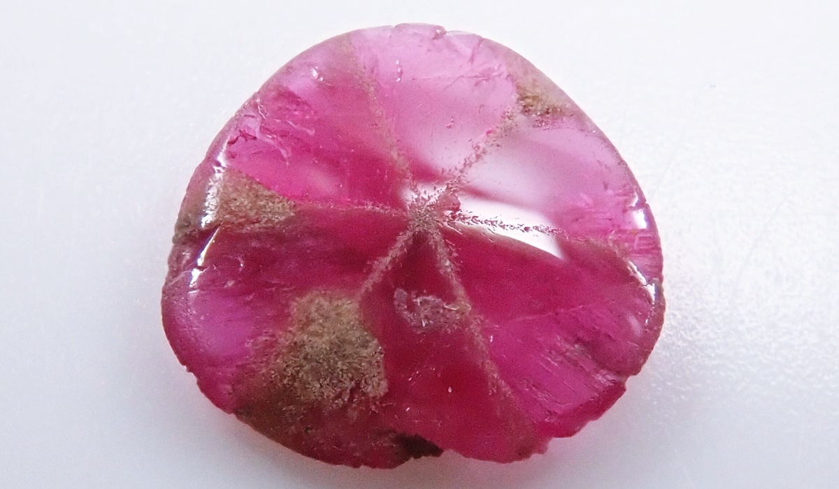 トラピッチェルビー　ルース