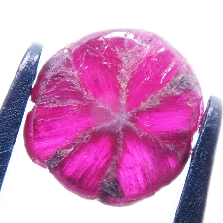 トラピッチェルビー　ルース